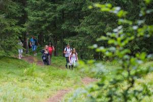 Lovrenška_jezera_20187