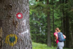 Lovrenška_jezera_20188