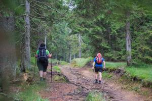 Lovrenška_jezera_20189