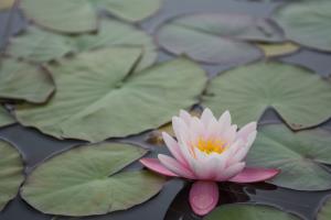 Lovrenška_jezera_201813