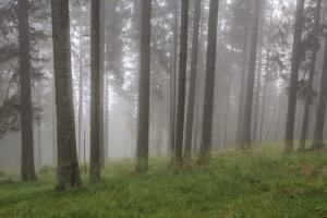 Lovrenška_jezera_201815