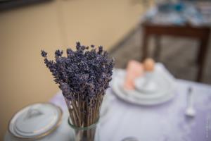 velikonocni_sejem_2019_76