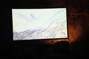 IMG_8513