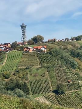 IMG_20221006_185904
