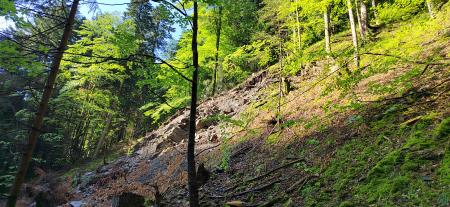 IMG_20230609_085137