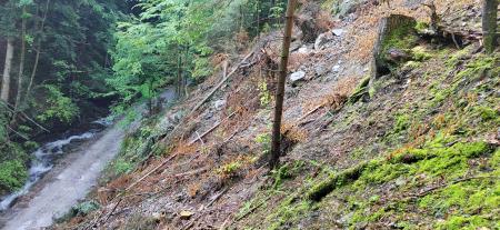 IMG_20230609_085142
