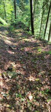 IMG_20230609_085901
