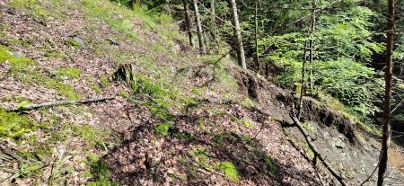 IMG_20230609_090147