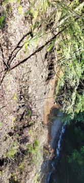 IMG_20230609_090200