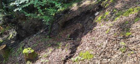 IMG_20230609_090307