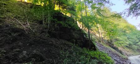 IMG_20230609_090806