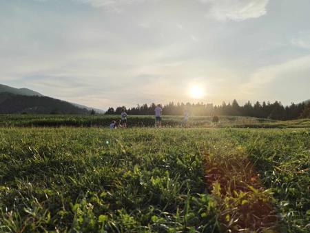 25730686-d7c0-4c6b-abf7-7790b1d3b586