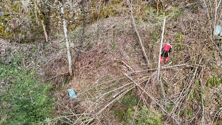 dji_fly_20260321_101302_0996_1774084621899_photo