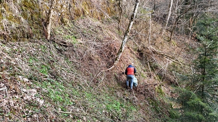 dji_fly_20260321_101550_0003_1774084613286_photo