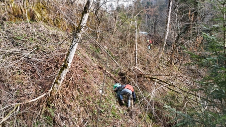 dji_fly_20260321_101616_0005_1774084610500_photo