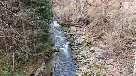 dji_fly_20260321_101718_0008_1774084606389_photo