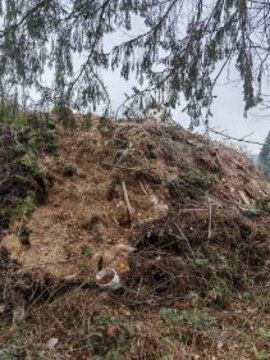 image000005_1774096012635