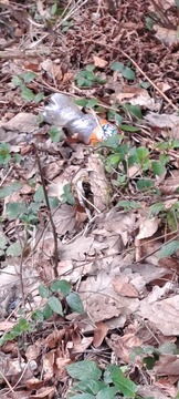 Messenger_creation_3BB564A0-C80E-4A22-A7F8-C8B840B36F84