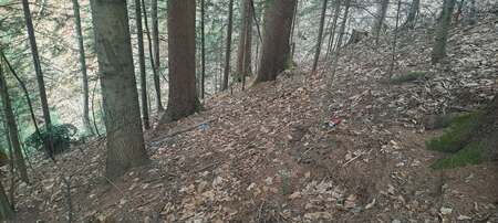 Messenger_creation_16EA0576-F9FE-46FA-B001-AE8810B9A2E3