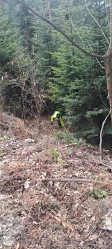 Messenger_creation_B0473989-D453-48B0-A3C4-D33EFD6A4C3F