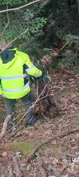 Messenger_creation_E61BB18E-59D1-4AE3-8F31-BA4C97001520