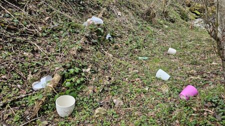 image000000_1774098448899