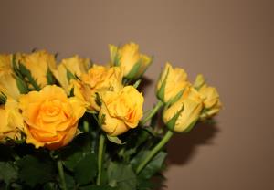 8.marec