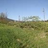 phoca_thumb_m_IMG_6