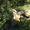 phoca_thumb_m_IMG_12