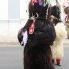 phoca_thumb_m_img_10